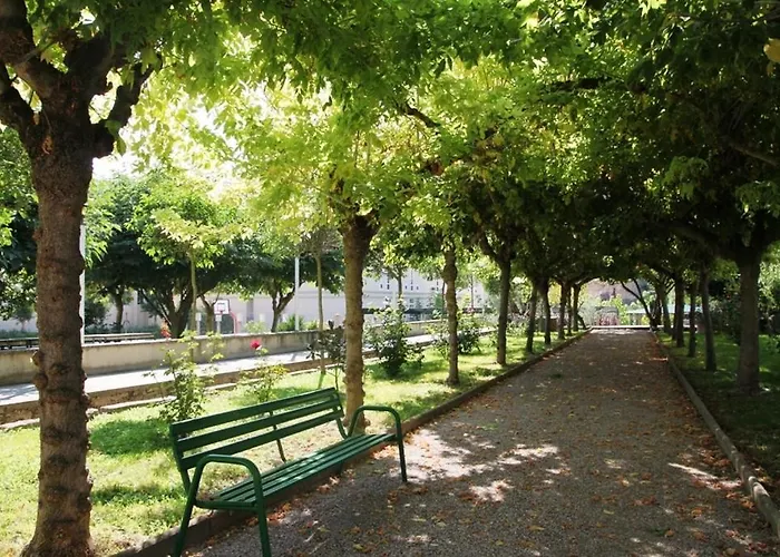 Pensión Juvenil El Olivo *